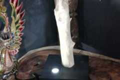 Arbre en bois flotté